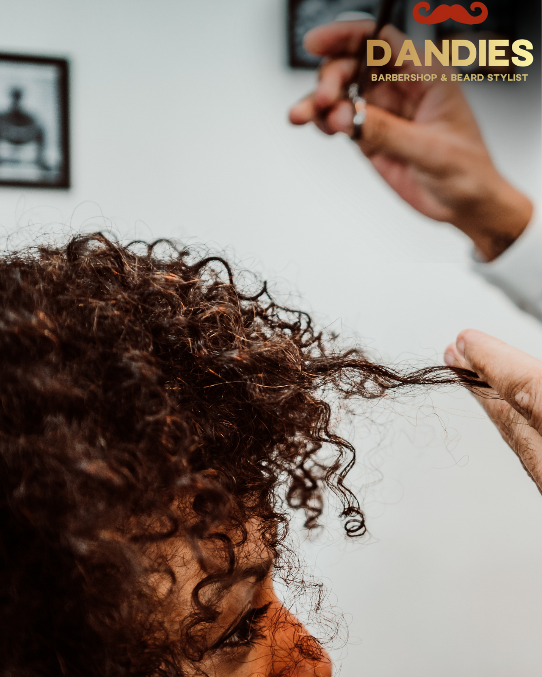 curly haircuts in or near Campbell CA
