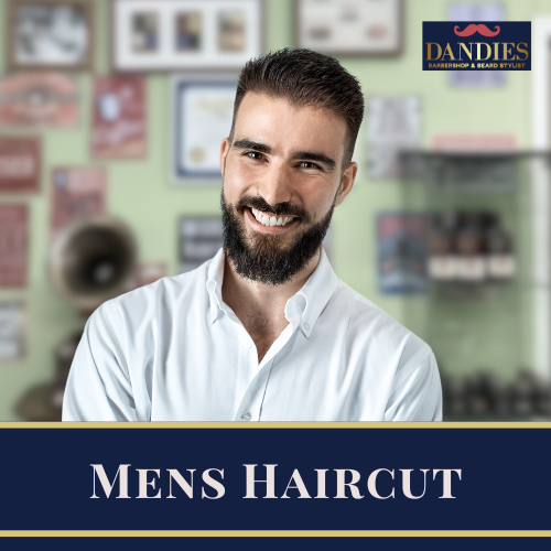 Mens haircut 95008