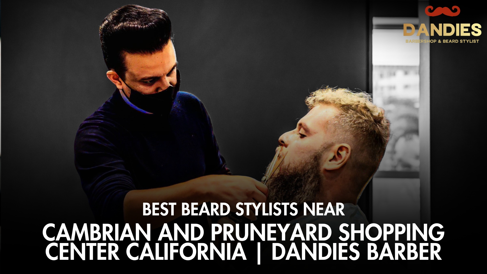 Best Beard Stylists Near Cambrian and Pruneyard Shopping Center California