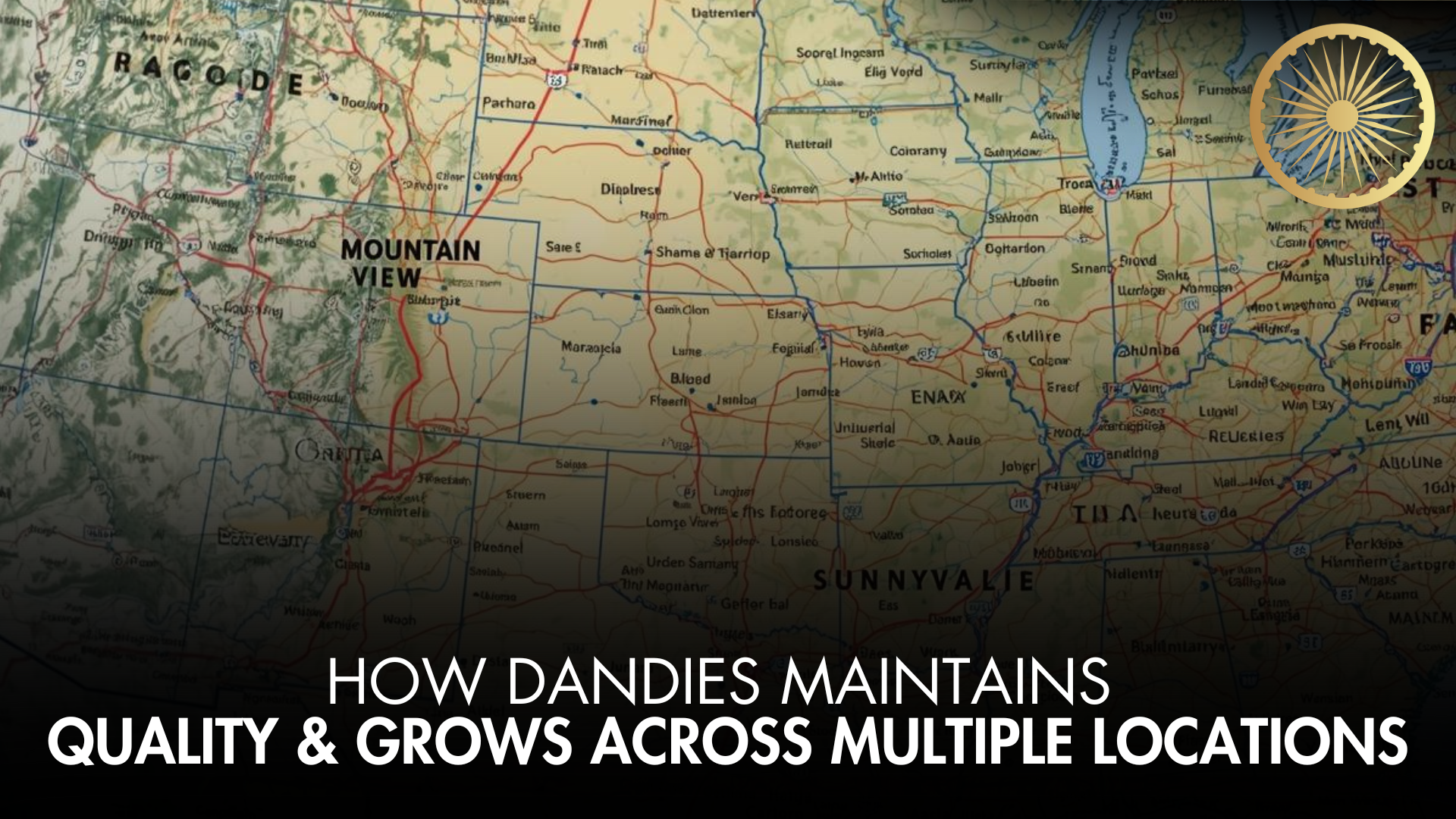How Dandies Maintains Quality & Grows Across Multiple Locations