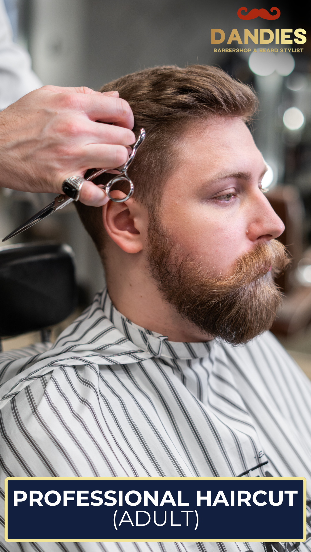 Express Haircut & Beard Trim