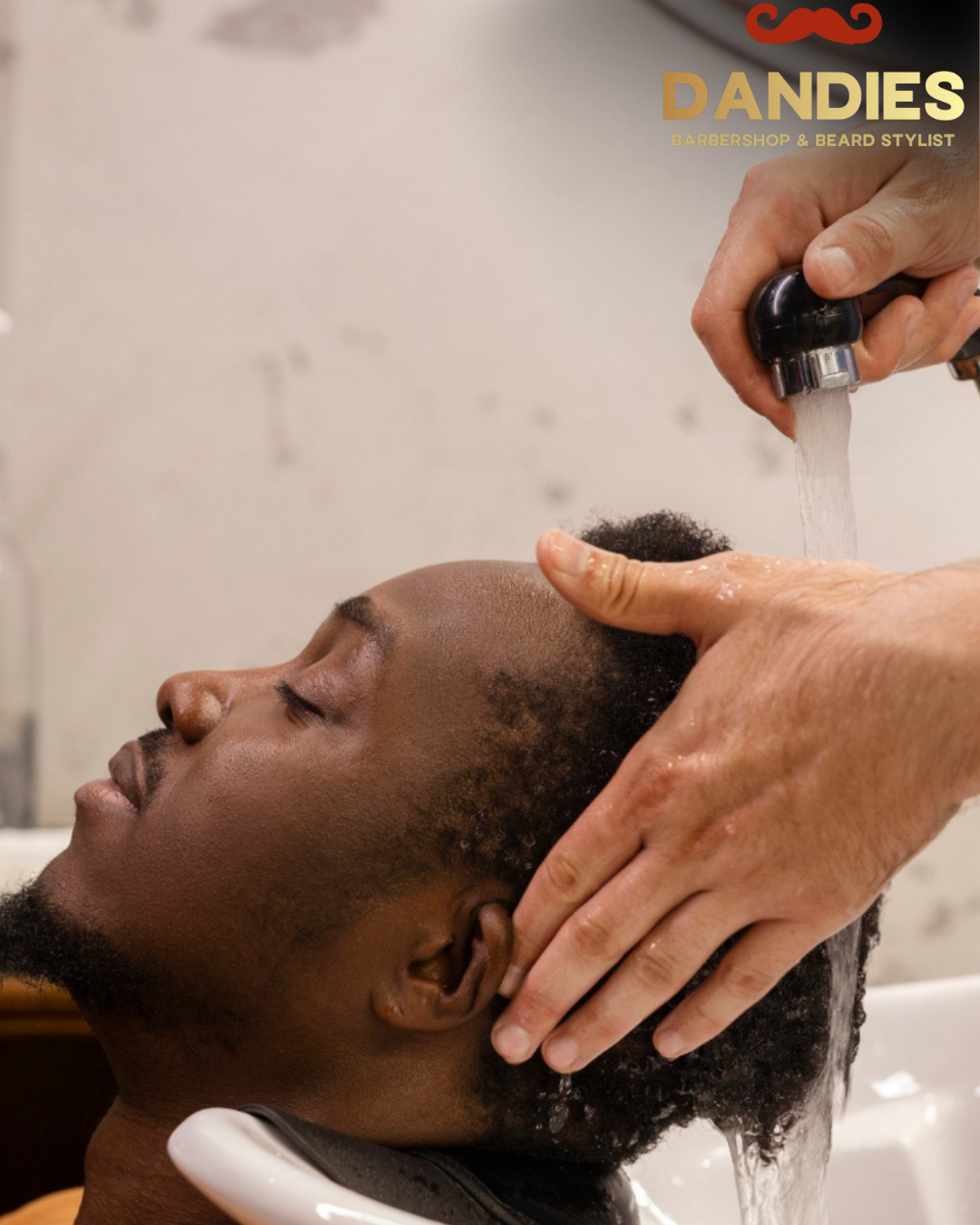 Currly haircuts near or in Campbell CA