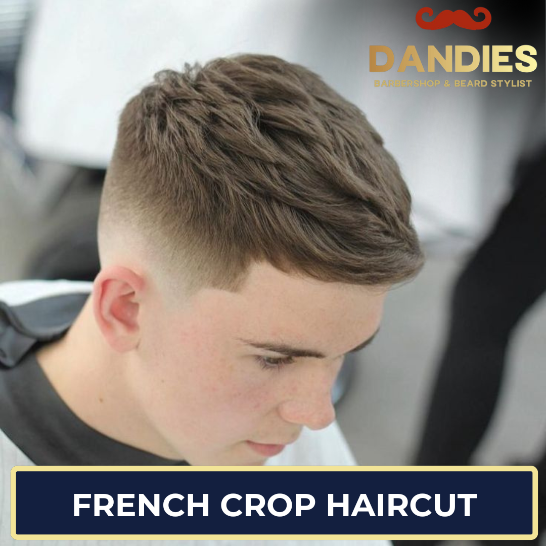 What is French Crop Haircut for Men ?