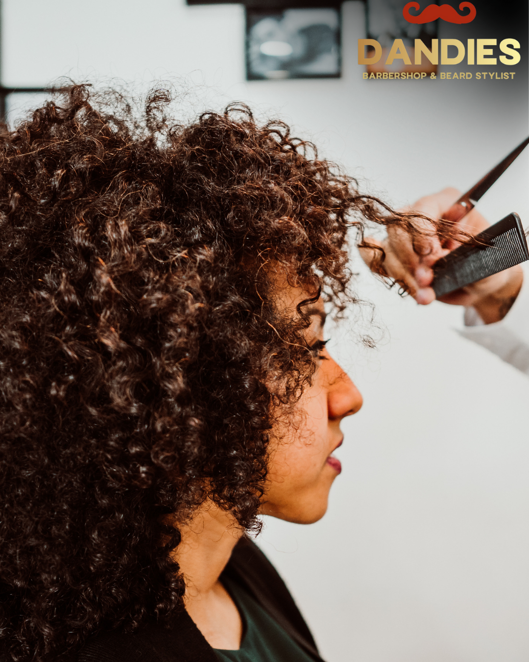 short curly haircut Campbell CA